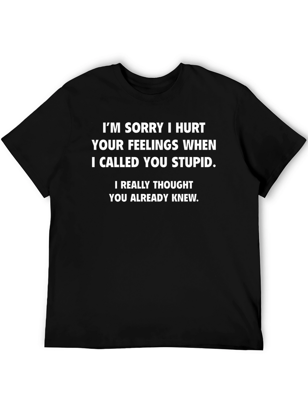 Funny Statement Graphic Tee - I Called You Stupid