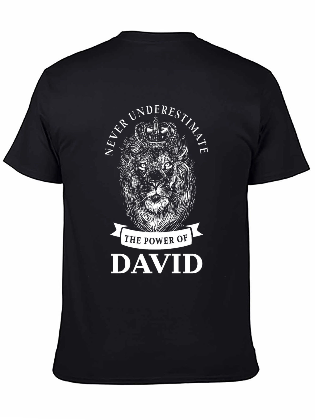 Never Underestimate David Lion T-Shirt