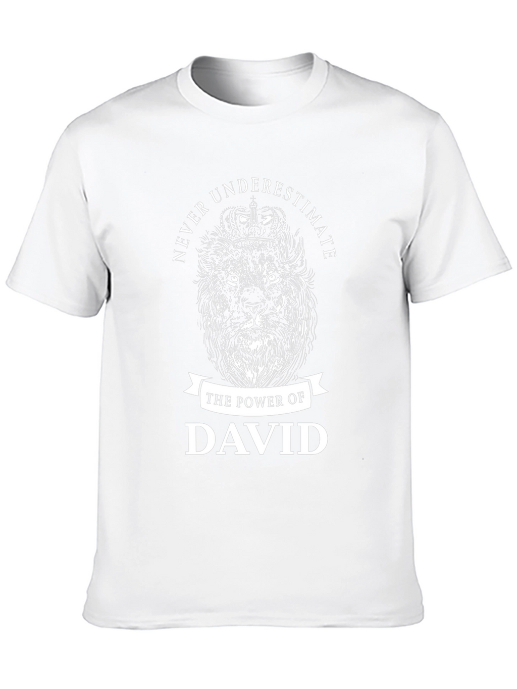 Never Underestimate David Lion T-Shirt