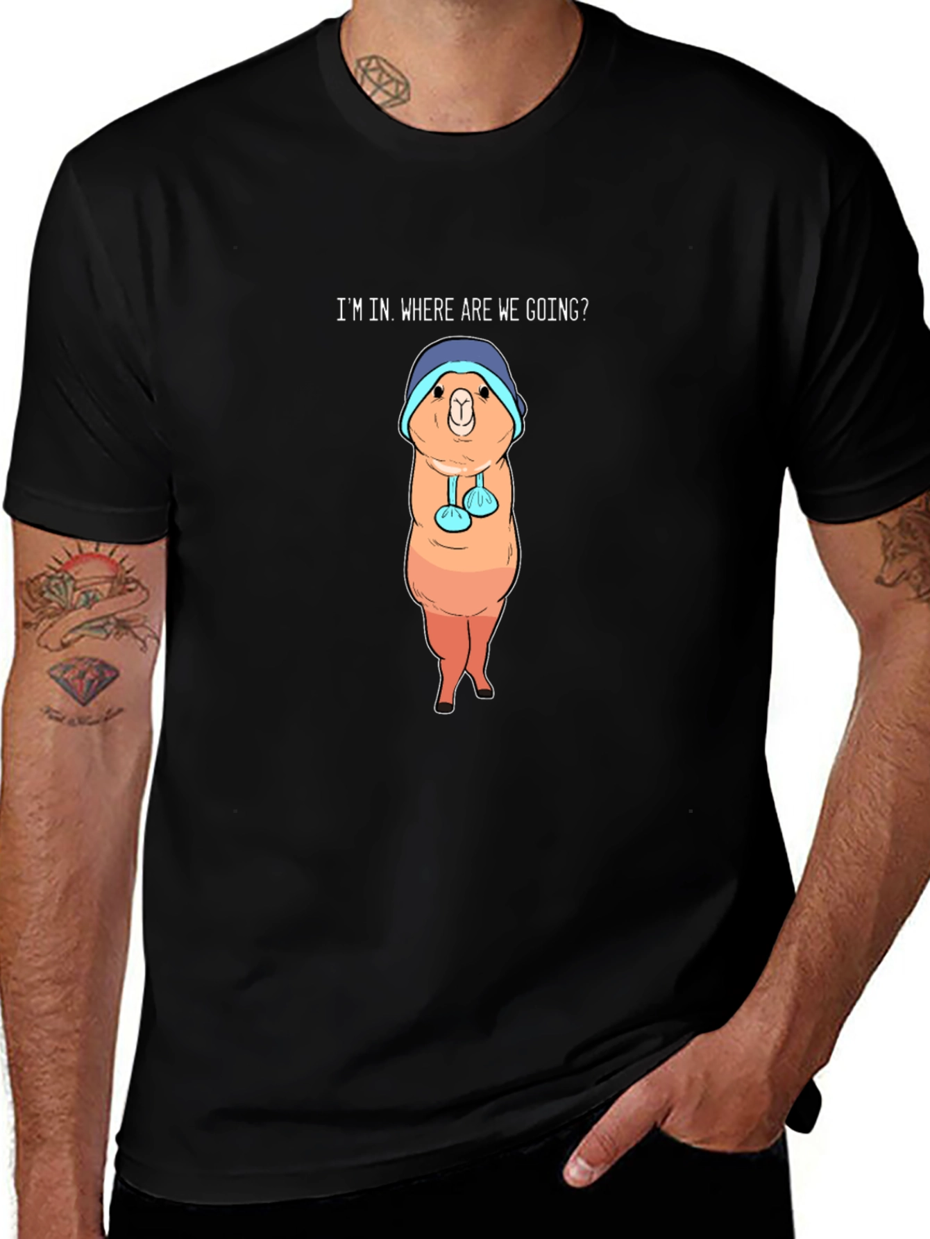 Alpaca Graphic Tee - Im In Where Are We Going?